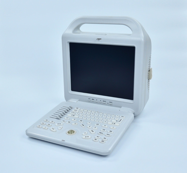 Easy Carry Portable B / W Laptop Ultrasound Scanner